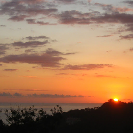 Andrew Hartman Photo 40