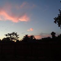 Carol Rust Photo 18