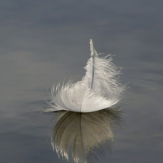 Michael Willis Photo 47