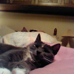 Judith Phillips Photo 26