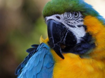 Rafael Varona Photo 5