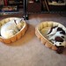 Chester Kirby Photo 14