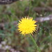 Flora Paredes Photo 15