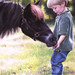 Debi Fitzgerald Photo 6