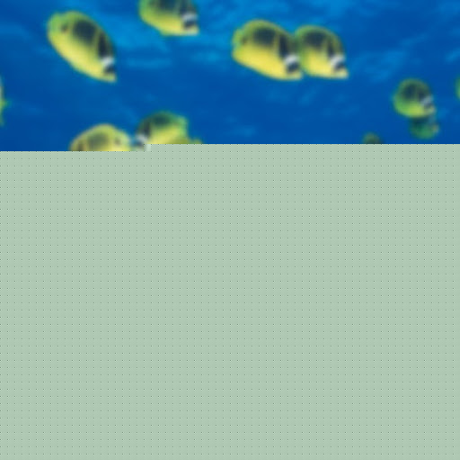 James Samuels Photo 15