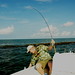Larry Trout Photo 29