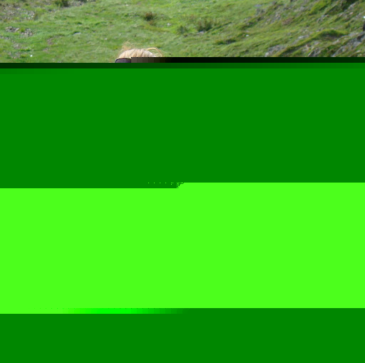 Renee Bowman Photo 2