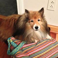 Jenny Jenkins Photo 14