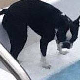 Phyllis Gauthier Photo 2