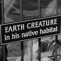 Marty Perkins Photo 18