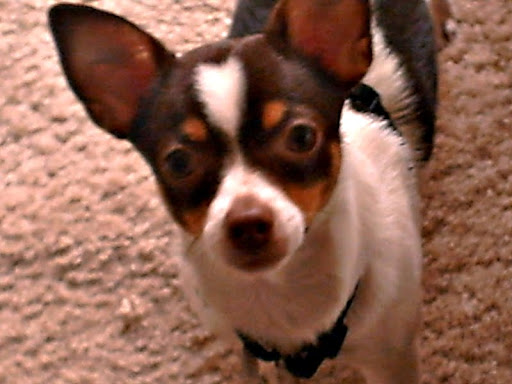 Laura Weldon Photo 18