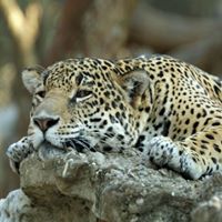 Rebecca Bernard Photo 31