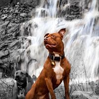 Timothy Mercer Photo 25