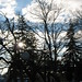 Cynthia Brockway Photo 15