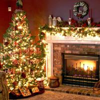 Annette Law Photo 10