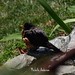 Robin Anderson Photo 39