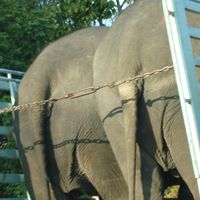 Jerry Strunk Photo 6