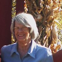 Lucinda Wiley Photo 4