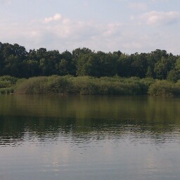 Julian Lang Photo 20