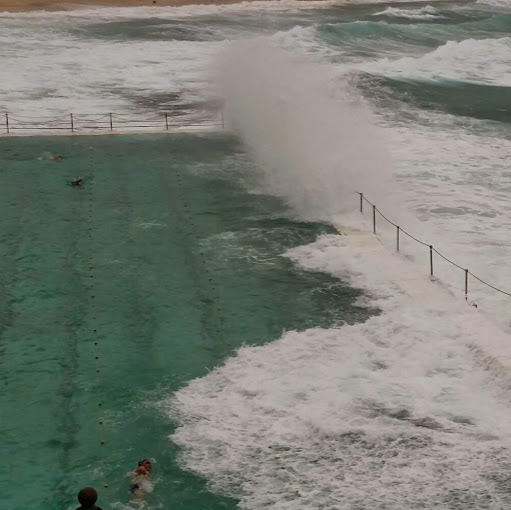 Douglas Shepard Photo 15