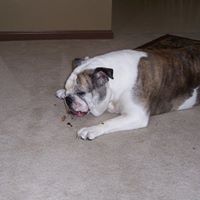 Ray Rasmussen Photo 17