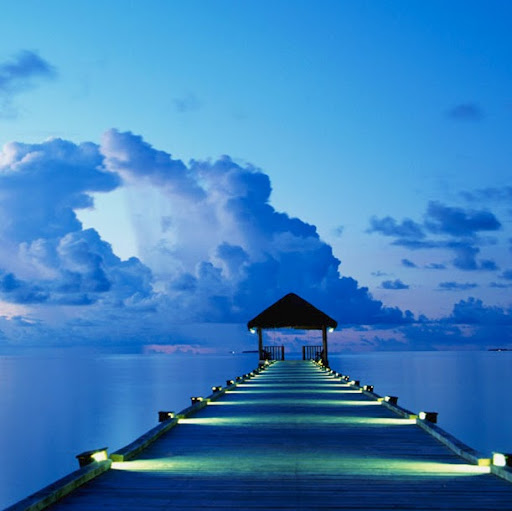 Amber Kline Photo 16