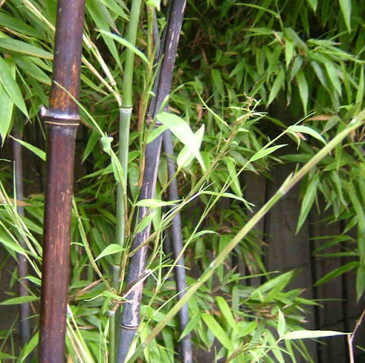 Bin Chen Photo 12 Bin Chen Photo 12