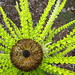 Kathy Huntington Photo 11