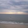Lisa Royster Photo 18