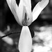 Michael Stearns Photo 42
