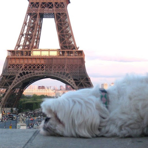 Michelle Allison Photo 27 Michelle Allison Photo 27