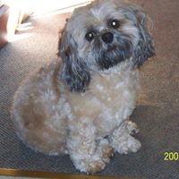 Betty Holley Photo 5