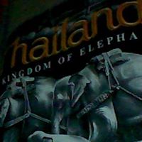 Julie Schmid Photo 12