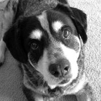 Clara Barnes Photo 12