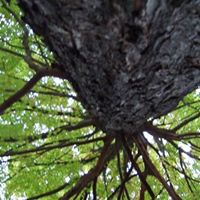 Crystal Perkins Photo 16 Crystal Perkins Photo 16