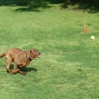 Steve Browning Photo 13