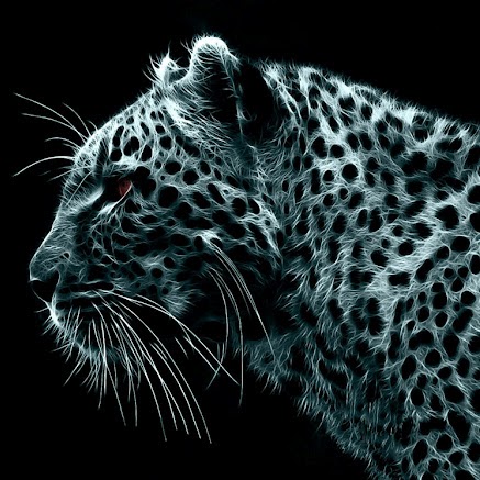 Jose Joaquin Photo 30 Jose Joaquin Photo 30