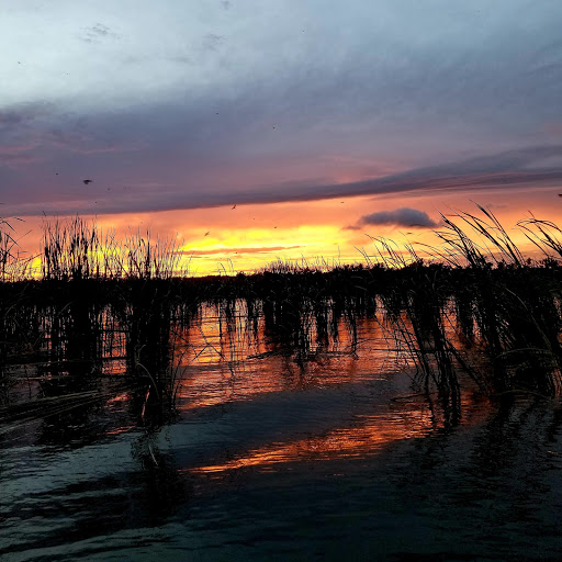 Michael Hawk Photo 28