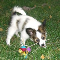 Julie Geisler Photo 15