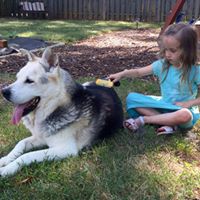 Sallie Johnson Photo 16