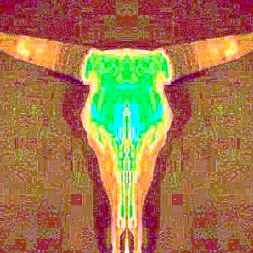 Kristine Woods Photo 24