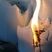 Jan Wicks Photo 19