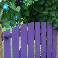 Kelly Mckenna Photo 16