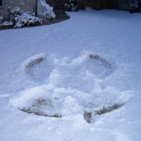Vicky Mcneil Photo 10