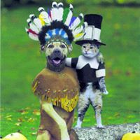 Sean Stuart Photo 46