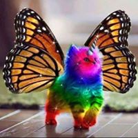 Jennifer Isaacs Photo 29 Jennifer Isaacs Photo 29