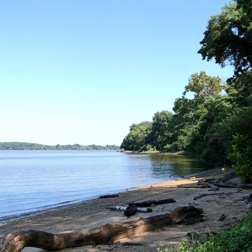 Joseph Sheldon Photo 3