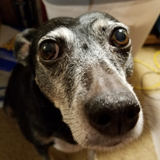 Jason Hansen Photo 16