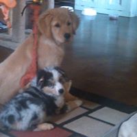 Karen Farris Photo 19