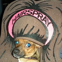 Nancy Miracle Photo 19